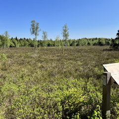 23-05-27 10-44-05 5719